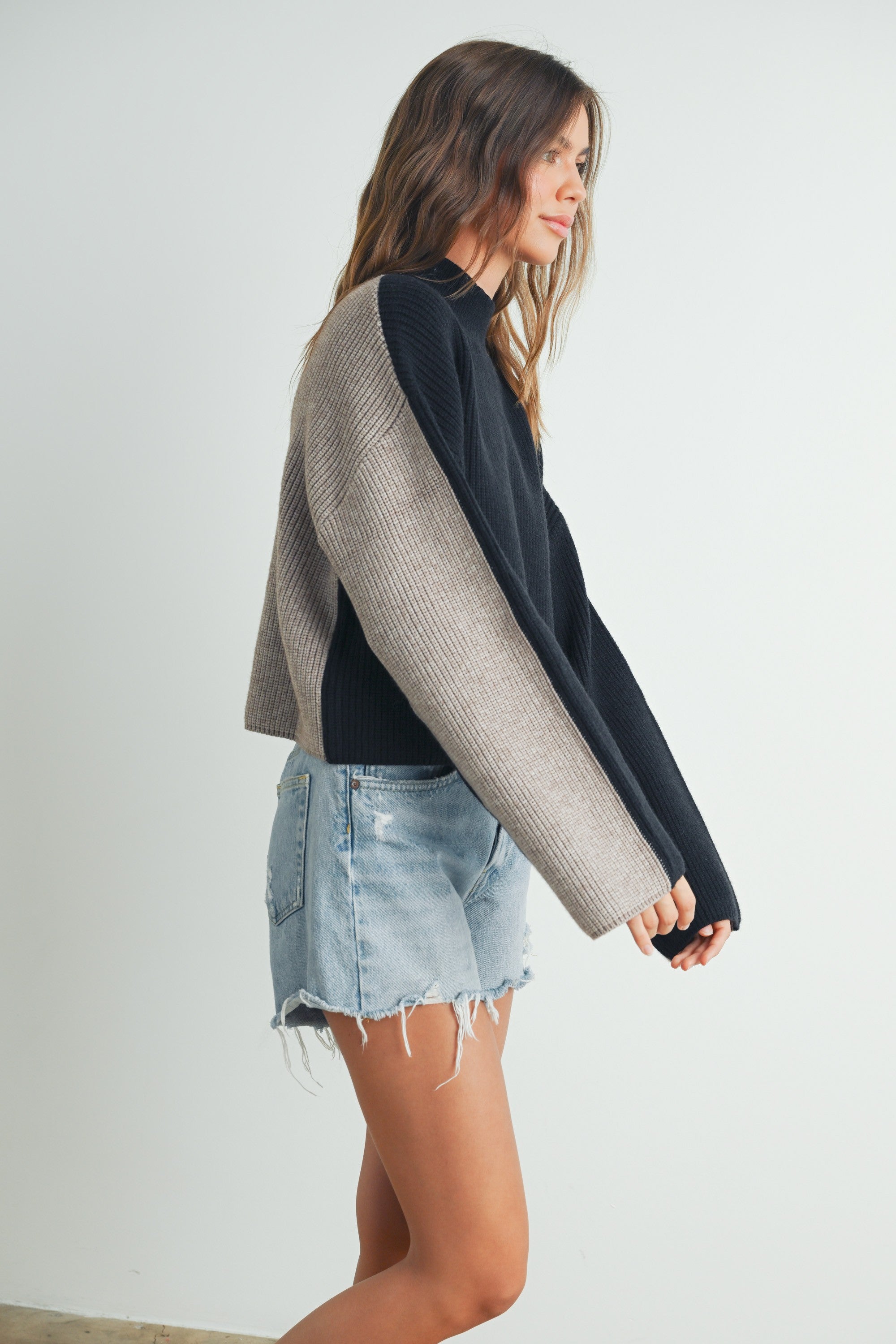 Julius Two Toned Turtleneck